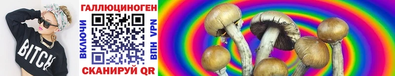 купить наркотики цена  Кирс  Псилоцибиновые грибы Cubensis 